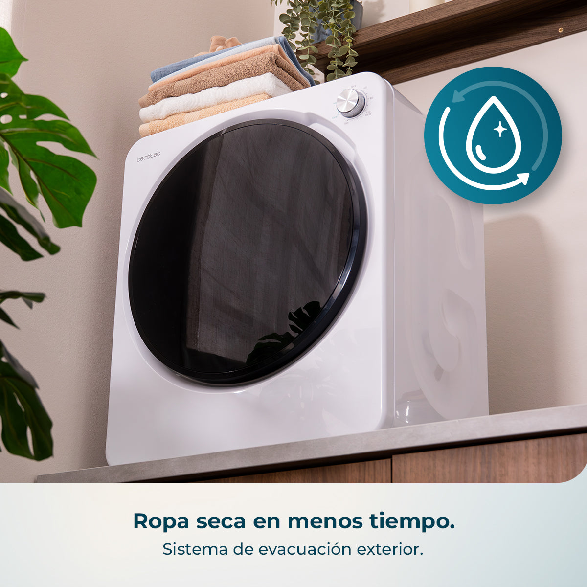 Cecotec Bolero DressCode Dry 3150V Secadora Compacta 2,5 Kg Evacuación Exterior Eficiente