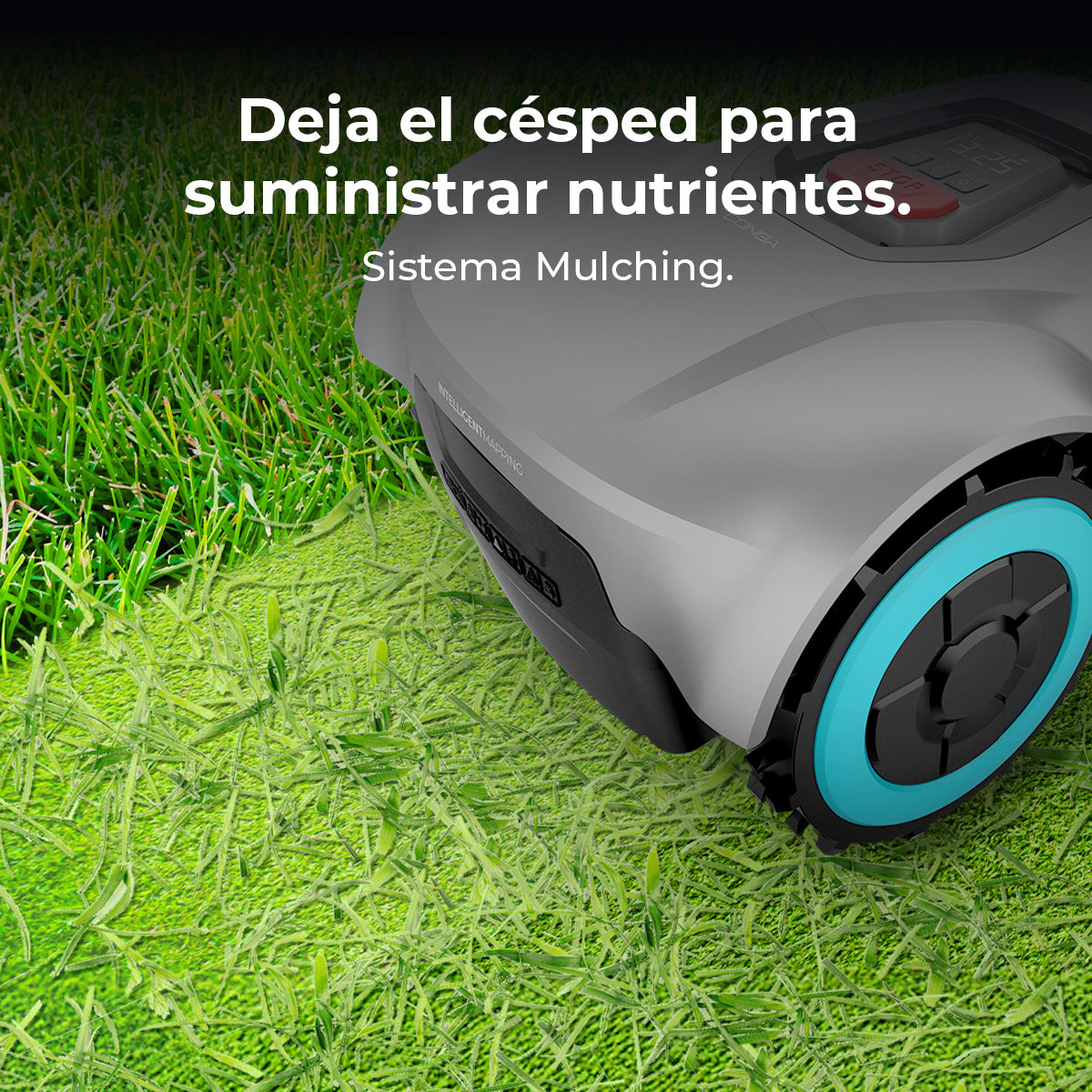 Cecotec Conga GrassHopper 500 Map Connected Robot Cortacésped para 500 m2 con Mapeo Inteligente