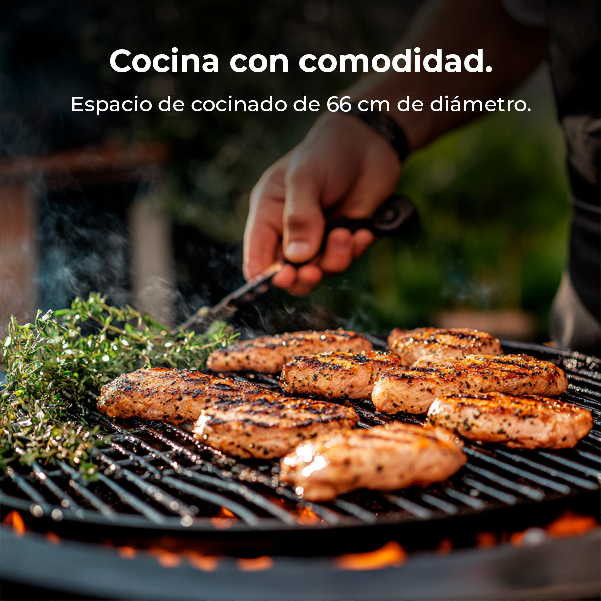 Cecotec DragonFire 6600 Barbacoa Cerámica Cámara de Cocción y Parrilla Hermética Hasta 1000C