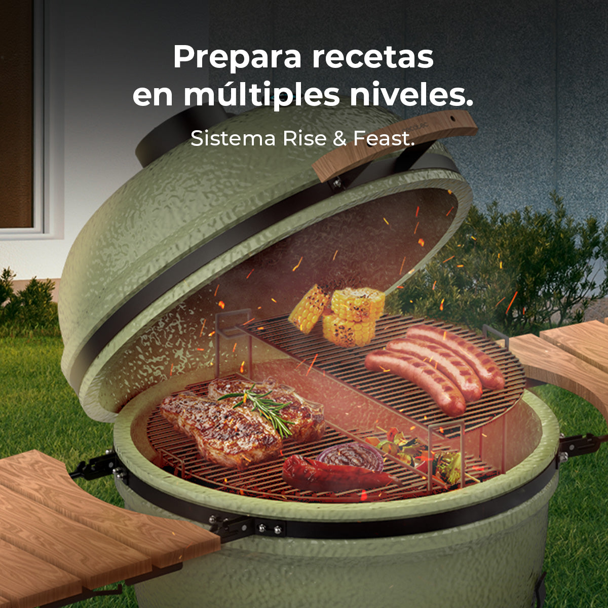 Cecotec DragonFire 6600 Barbacoa Cerámica Cámara de Cocción y Parrilla Hermética Hasta 1000C