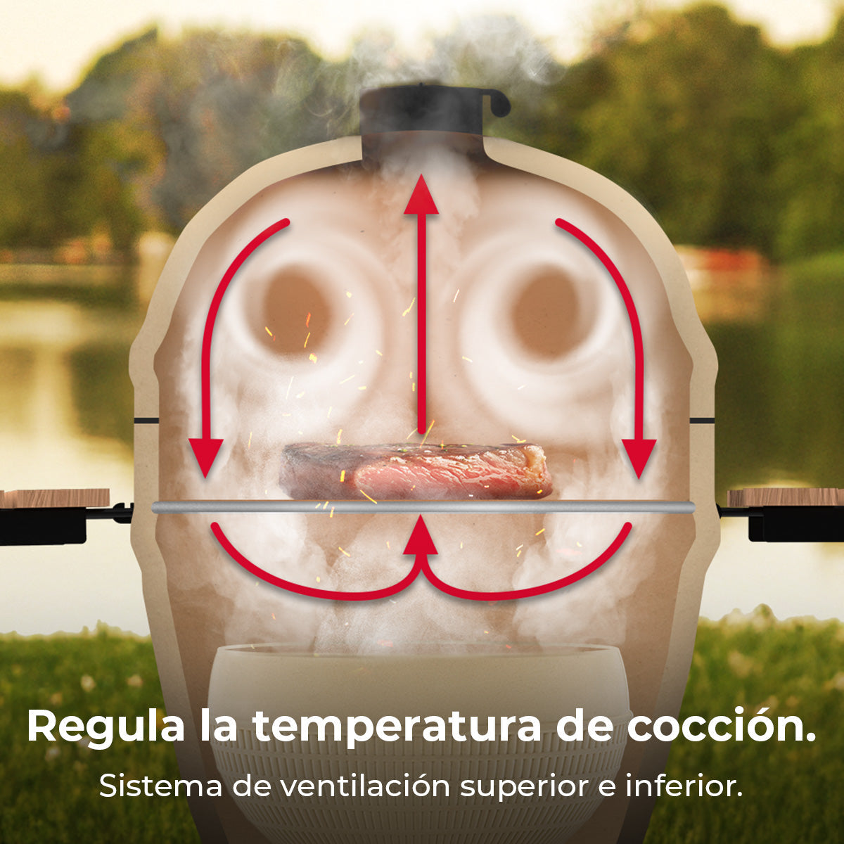 Cecotec DragonFire 6600 Barbacoa Cerámica Cámara de Cocción y Parrilla Hermética Hasta 1000C