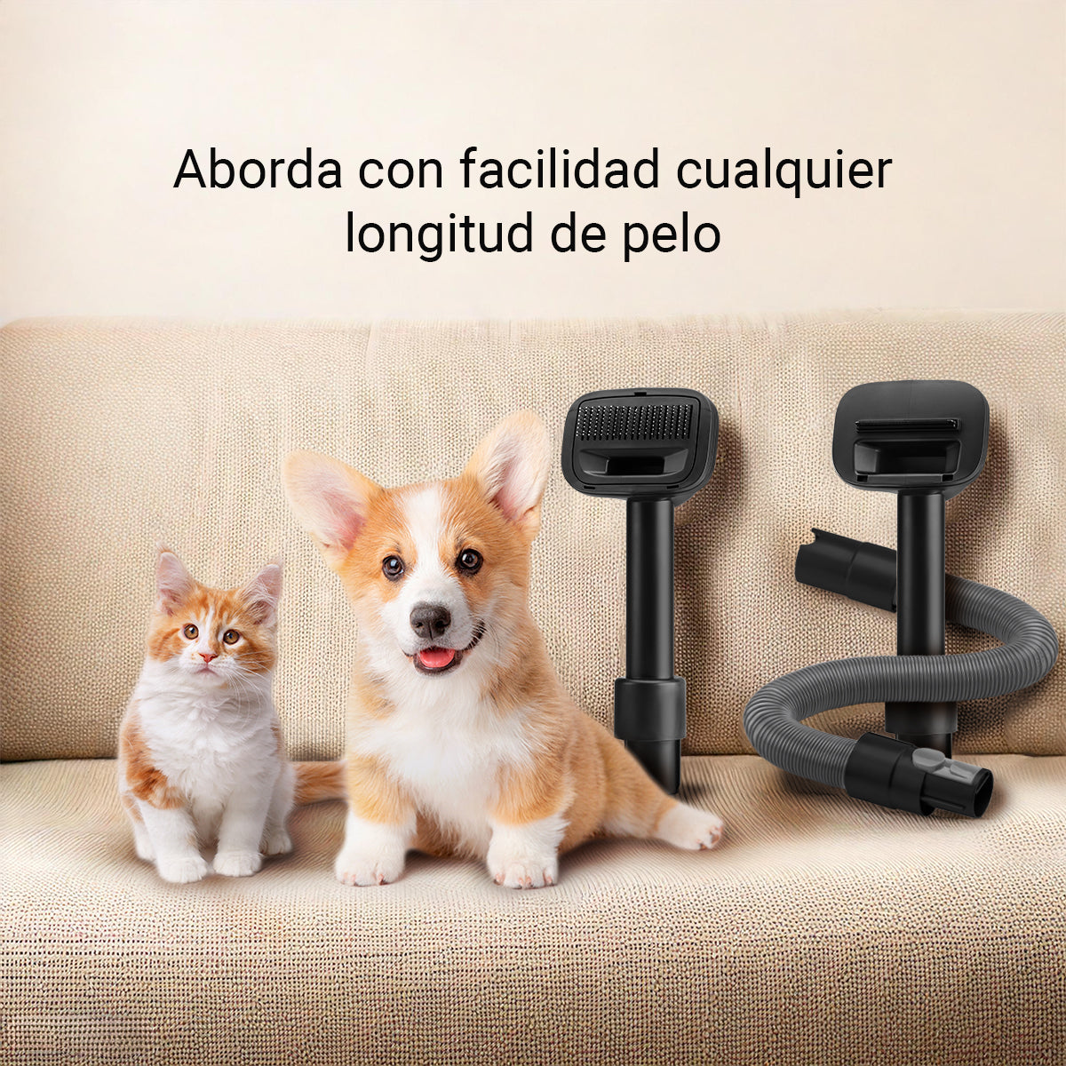 Accesorios de aspiración Teddy Pet