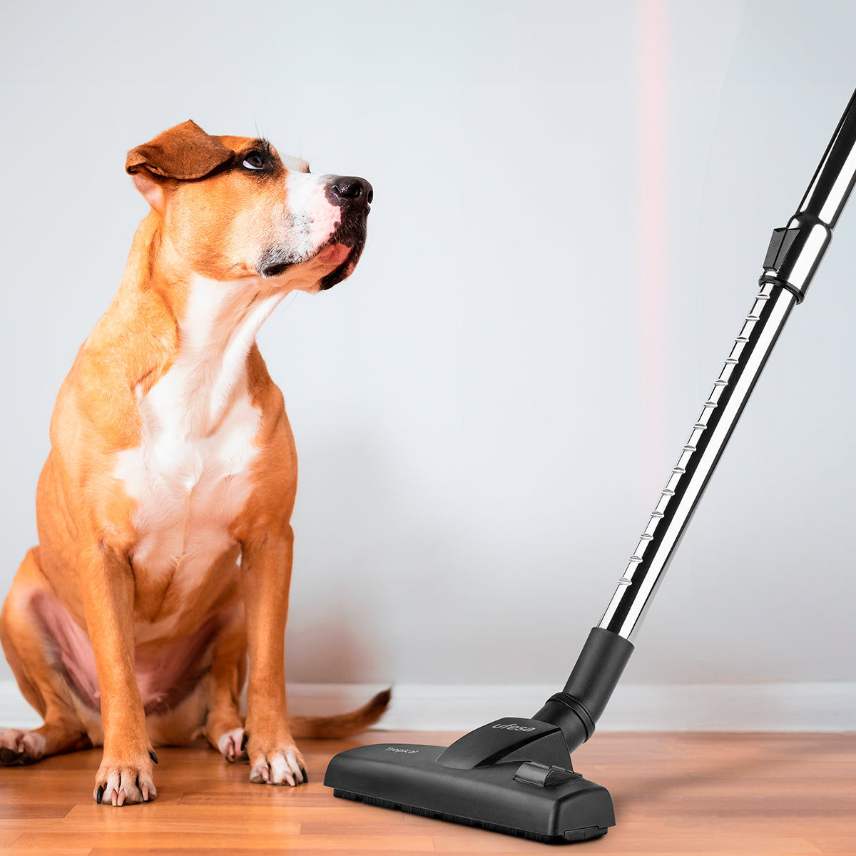 Aspirador escoba con cable Tropical 600W